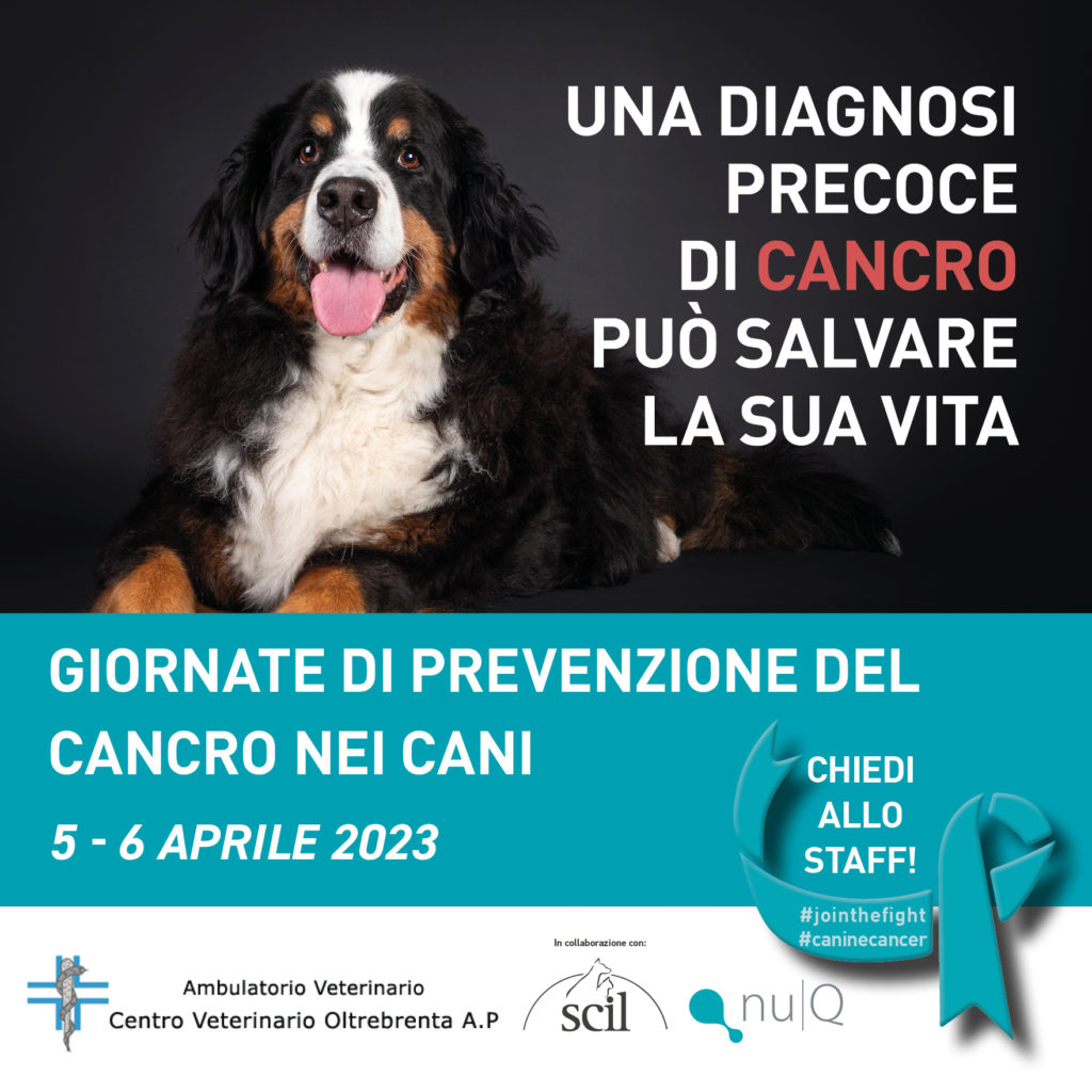 Medicina Preventiva – 5 e 6 aprile 2023